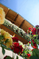Blumen